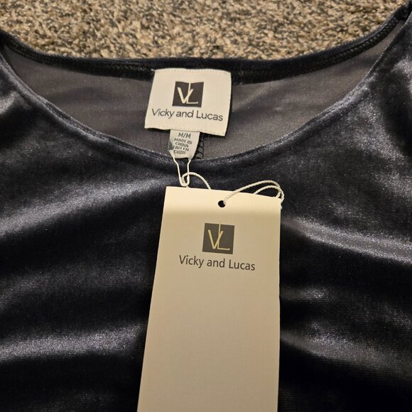 NWT Vicky & Lucas Gray Velvet Long Sleeved Dress M - Picture 3 of 6